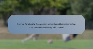 Siphiwe Tshabalala: Doelpunten op het Wereldkampioenschap, Internationale aanwezigheid, Invloed
