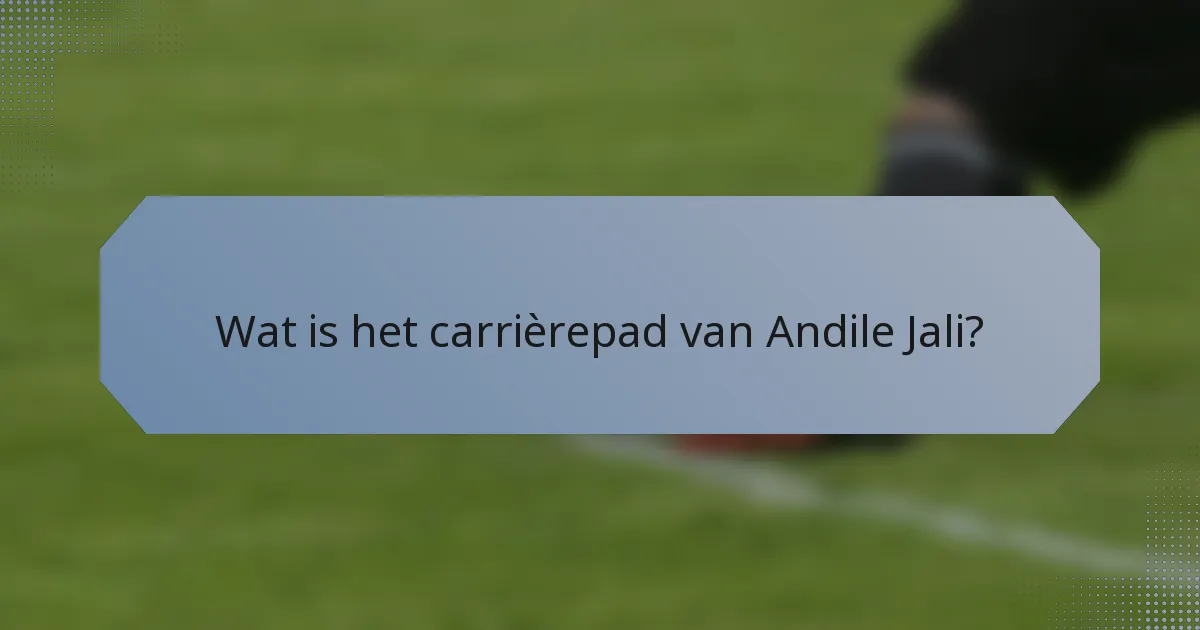 Wat is het carrièrepad van Andile Jali?